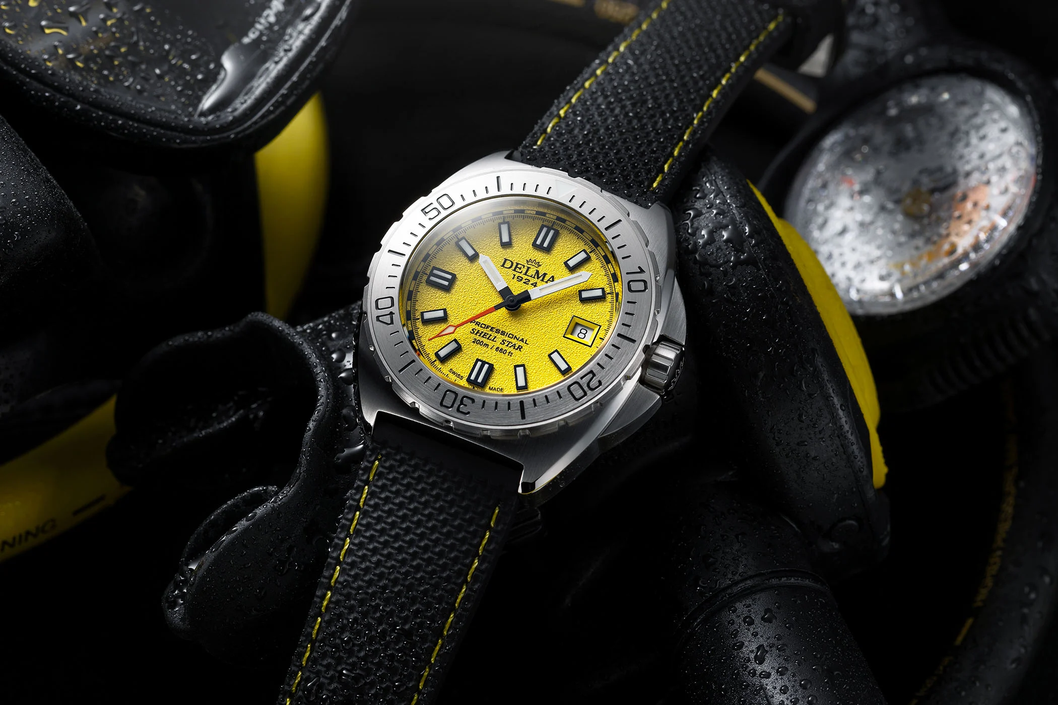 Introducing – The Steel Delma Shell Star Automatic, now in 41mm